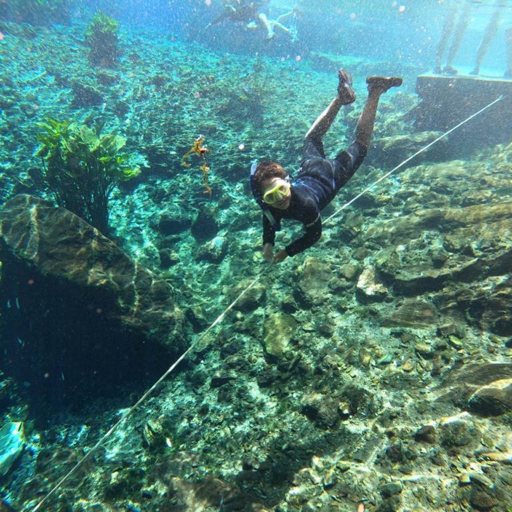 Mergulho